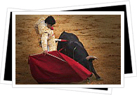 bullfight